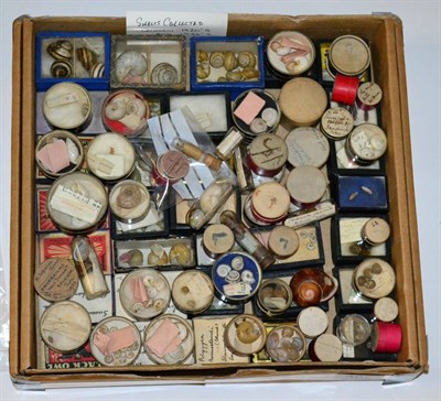 Lot 487 - An Extensive Collection of Small Shells, collected in the Middle East and worldwide in the...