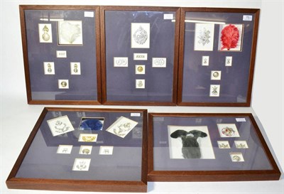 Lot 70 - Five Displays of Staybrite Badges and Feather Hackles, to the Argyll and Sutherland...