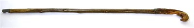 Lot 360 - A Late 19th Century Sword Stick, with 72 cm part-fullered blade, brass-banded thorn handle and...