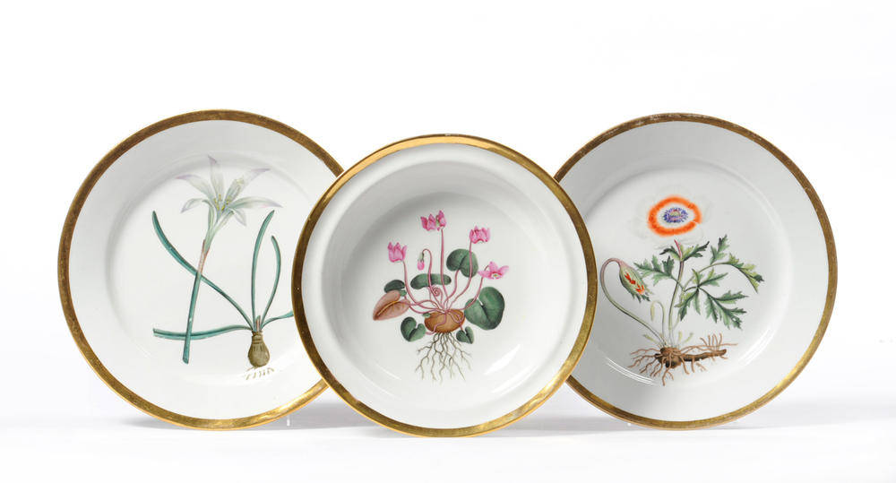 Lot 122 - A Pair of Chamberlain's Worcester Porcelain Botanical Specimen Plates, circa 1800, painted in...