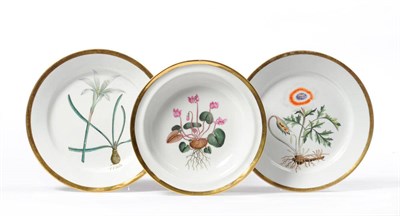 Lot 122 - A Pair of Chamberlain's Worcester Porcelain Botanical Specimen Plates, circa 1800, painted in...