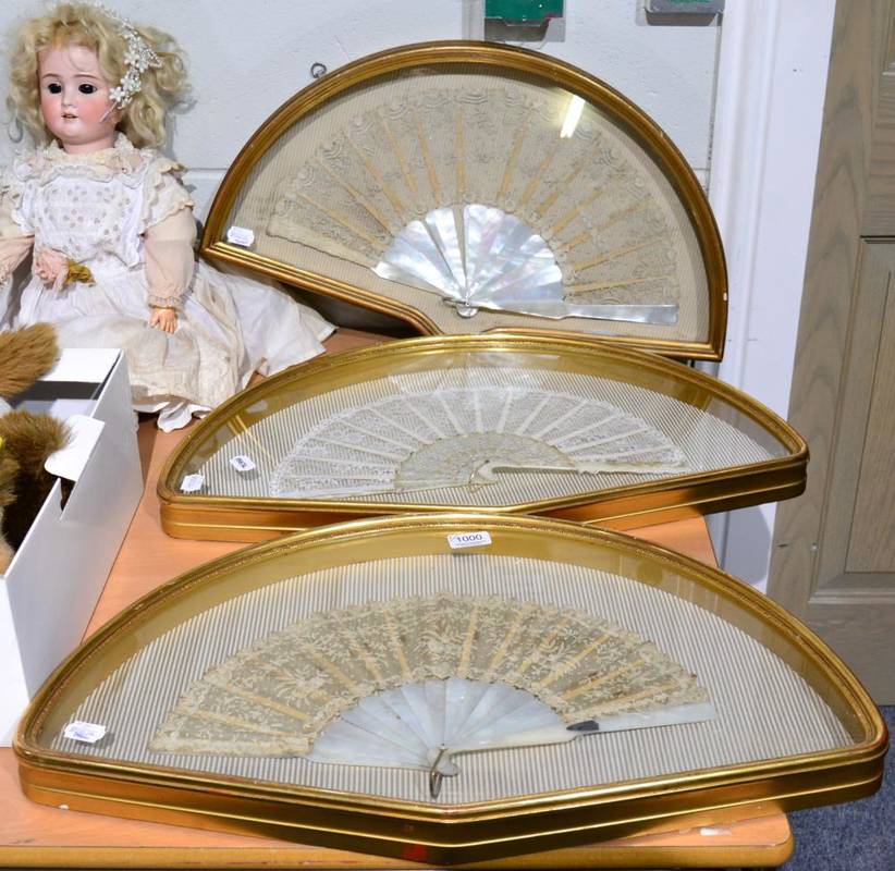 Lot 1000 - Three large glazed fan shaped display cases, each containing a lace fan, two being of Brussels...