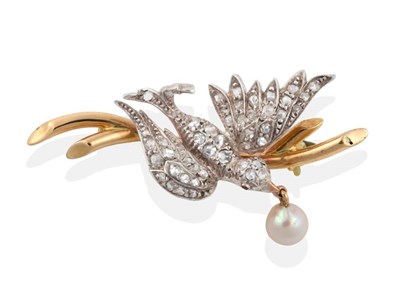 Lot 2109 - A Diamond and Pearl Bird Brooch, the bird modelled in flight and pavé set with rose cut...