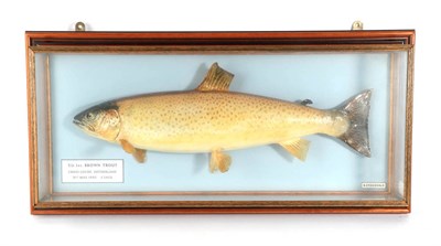 Lot 140 - Taxidermy Fish: Brown Trout (Salmo trutta), circa 1995, by R. Stockdale, Newton Aycliffe, full...