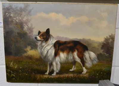 Lot 1066 - English School (late 19th century) portrait of a dog, oil on canvas, re-lined