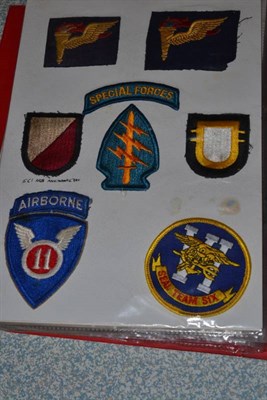 Lot 136 - A Collection of US Army Cloth Insignia and Badges, to the Airborne divisions, comprising eighty...