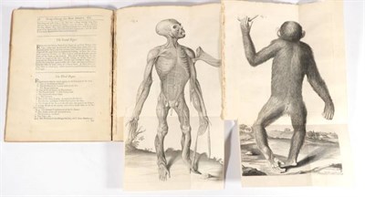 Lot 39 - Tyson, Edward Orang-Outang, Sive Homo Sylvestris or, the Anatomy of a Pygmie Compared with that...