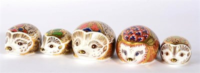 Lot 4 - Royal Crown Derby Imari hedgehog paperweights comprising: Hawthorn, Bramble, Orchard, Ivy and Holly