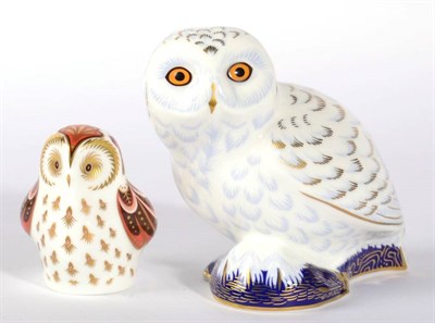 Lot 27 - Royal Crown Derby Imari paperweights, Snowy Owl and Owlet