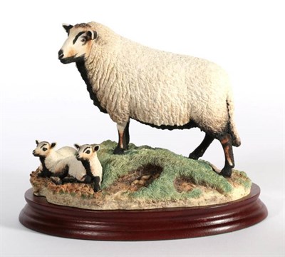 Lot 1 - ^ Border Fine Arts 'Badger Face Ewe and Lambs' (Torddu), model No. B1441 by Ray Ayres, limited...
