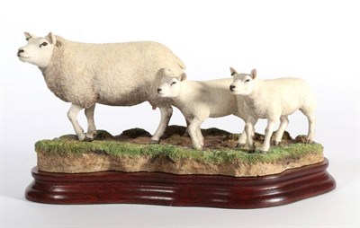 Lot 2 - ^ Border Fine Arts 'Beltex Ewe and Lambs', model No. B1182 by Ray Ayres, limited edition 84/500, on