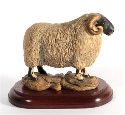 Lot 6 - ^ Border Fine Arts 'Blackfaced Tup' (Style One), model No. L15 by Mairi Laing Hunt, limited edition