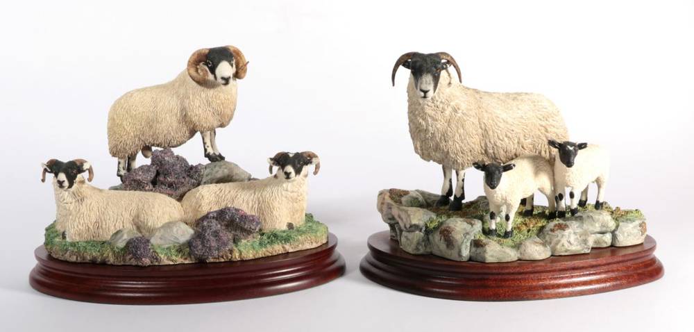 Lot 7 - ^ Border Fine Arts 'Blackie Tup and Ewes', model No. B1274 by Hans Kendrick, limited edition...