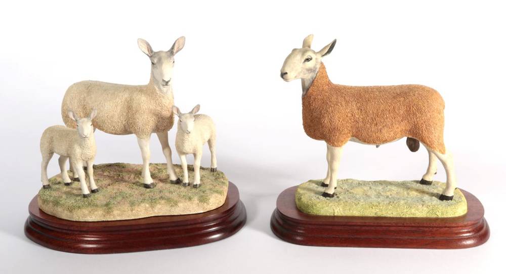 Lot 9 - ^ Border Fine Arts 'Blue Faced Leicester Tup' (Style One), model No. B0149 by Ray Ayres,...