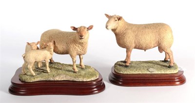 Lot 11 - ^ Border Fine Arts 'Charolais Ewe and Lambs', model No. L121 by Ray Ayres, limited edition 480/750