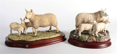 Lot 12 - ^ Border Fine Arts 'Cheviot Ewe and Lambs', model No. B1119 by Ray Ayres, limited edition...