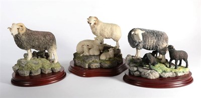 Lot 18 - ^ Border Fine Arts 'Herdwick Tup', model No. B0705 by Ray Ayres, limited edition 690/750, on...