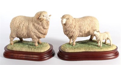 Lot 20 - ^ Border Fine Arts 'Merino Ram', model No. B1121 and 'Merino Ewe and Lamb', model No. B1122,...