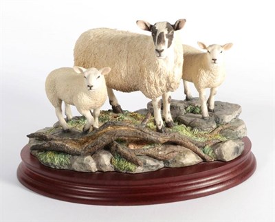 Lot 22 - ^ Border Fine Arts 'Mule Ewe and Texel Lambs', model No. B1251 by Ray Ayres, limited edition...