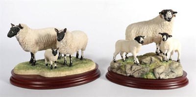 Lot 23 - ^ Border Fine Arts 'Rough Fell Ewe and Lambs', model No. B1541 by Ray Ayres, limited edition...