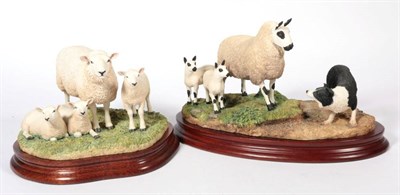 Lot 24 - ^ Border Fine Arts 'Standing Firm' (Kerry Hill Black & White), model No. B1382 by Ray Ayres,...