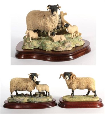 Lot 28 - ^ Border Fine Arts 'Swaledale Tup' (The Monarch of the Dales), model No. L148 by Ray Ayres, limited