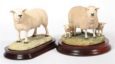 Lot 30 - ^ Border Fine Arts 'Texel Ram' (Style One), model No. L108 by Ray Ayres, limited edition...