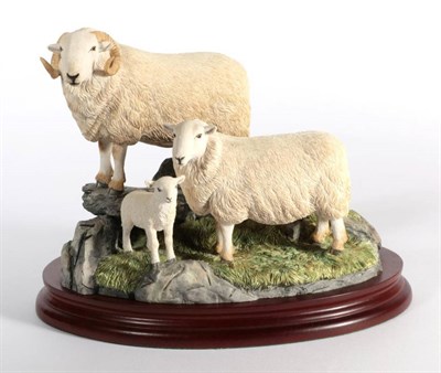 Lot 31 - ^ Border Fine Arts 'Welsh Ram, Ewe and Lamb', model No. B1282 by Antony Halls, limited edition...
