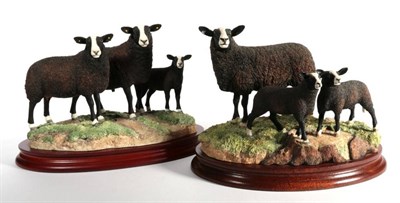 Lot 32 - ^ Border Fine Arts 'Zwartble Ram, Ewe and Lamb', model No. B1477 by Ray Ayres, limited edition...