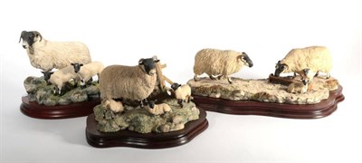 Lot 45 - Border Fine Arts 'Blackie Ewe and Lambs', model No. B0887 by Ray Ayres, limited edition...