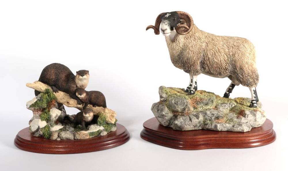 Lot 46 - Border Fine Arts 'Blackie Tup', model no. B0354, limited edition 1041/1750, on wood base, with...