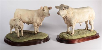 Lot 50 - Border Fine Arts 'Charolais Bull' (Style Two), model No. B0587 by Jack Crewdson, limited...