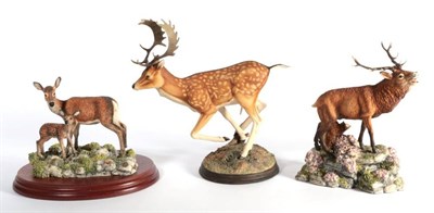 Lot 58 - Border Fine Arts 'Fallow Buck' (Style One), model No. L73, limited edition 171/850 by James Harvey
