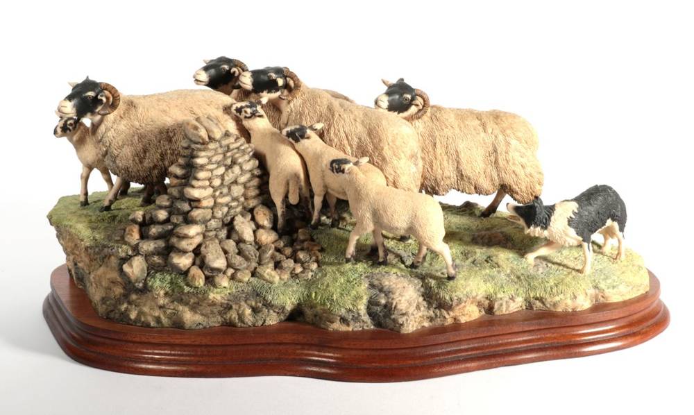 Lot 62 - Border Fine Arts 'Gathering in the Strays' (Sheep and Collie), model No. JH28 by Ray Ayres, limited