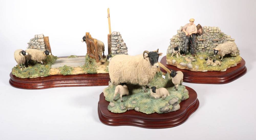 Lot 68 - Border Fine Arts James Herriot Models: 'Right Place, Wrong Time' (Swaledale Tup, Ewes and...