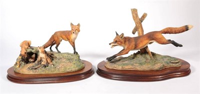 Lot 73 - Border Fine Arts 'Leicester Fox', model No. L58 by Ray Ayres, limited edition 300/500, on wood base