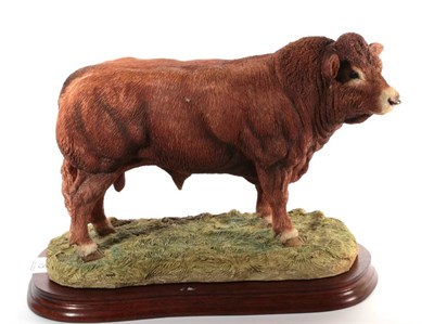 Lot 75 - Border Fine Arts 'Limousin Bull' (Style Two), model No. B0531 by Jack Crewdson, limited edition...