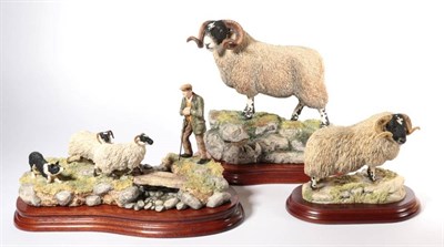 Lot 92 - Border Fine Arts 'Steady Lad, Steady' (Shepherd, Sheep and Collie), model No. JH90 by Ray...