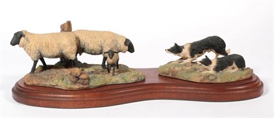 Lot 97 - Border Fine Arts 'Suffolk Ewes and Collies', model No. 101 by Ray Ayres, on wood base