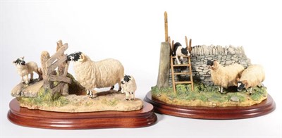 Lot 111 - Border Fine Arts 'Wrong Side of the Fence' (Ewe and Lambs), model No. JH100 by Anne Wall,...