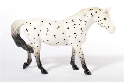 Lot 112 - Beswick Appaloosa (Spotted Walking Pony), model No. 1516, Spotted (British) gloss