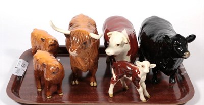 Lot 119 - Beswick Cattle Comprising: Aberdeen Angus Cow, model No. 1563, black gloss, Hereford Cow, model No.