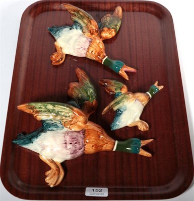 Lot 152 - Beswick Mallard Wall Plaques, model No. 596, brown, teal and white gloss, approximately lengths...