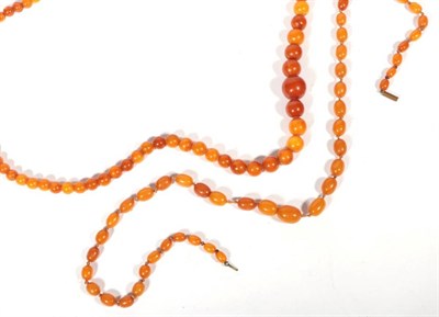 Lot 558 - An amber bead necklace, length 61cm, 20.8g; and a composite amber necklace, 39.1g (2)