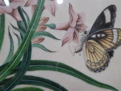 Lot 1068 - A set of six Chinese studies of flowers and butterflies