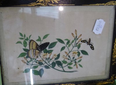 Lot 1068 - A set of six Chinese studies of flowers and butterflies