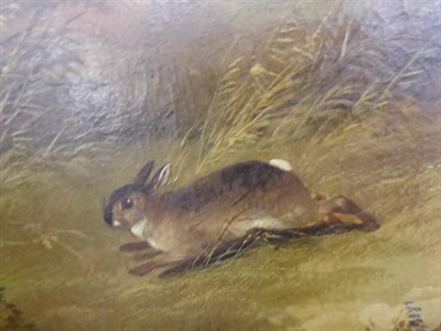 Lot 1076 - Circle of George Armfield (19th century) Two terriers chasing a rabbit, oil on canvas