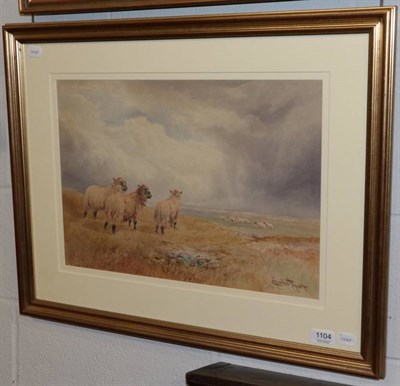 Lot 1104 - ~ Charles Pigott (1863-1940) Sheep in open landscape, signed, watercolour, 34cm by 49cm