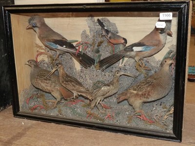 Lot 1166 - ~ Taxidermy: A Victorian Diorama of British Countryside Birds, including a pair of Eurasian...