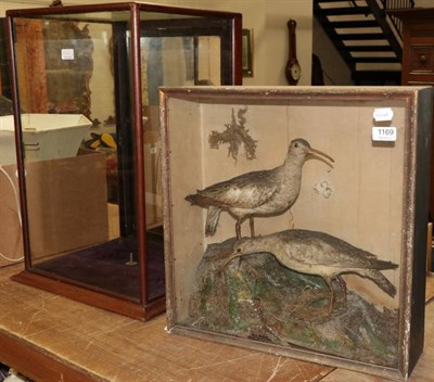 Lot 1169 - ~ Taxidermy: A Victorian Cased pair of Whimbrel (Numenius phaeopus), a pair of full mounts both...